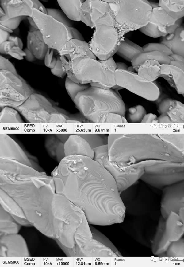 図3 チタン酸バリウムストロンチウム焼結体の顕微鏡形態