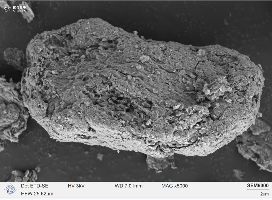 SEM5000 では、モンモリロナイトの表面に付着した微細な層状の結晶塊が観察されました。