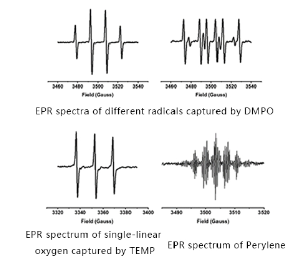 EPR 分光計のアプリケーション フリーラジカルの検出
