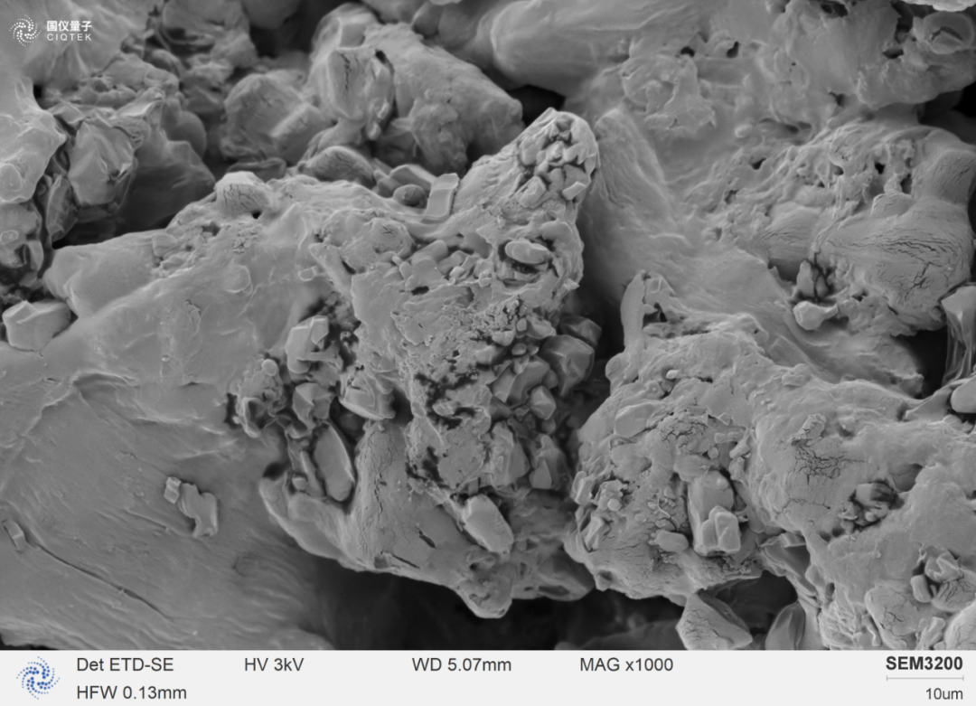 SEM3200はイブプロフェン粒子の表面形態を鮮明に観察できます