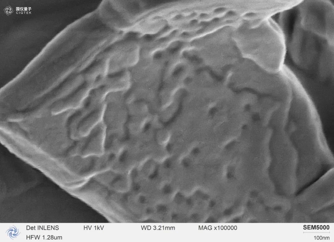 SEM5000はステアリン酸マグネシウムフレークを100,000倍の高倍率で観察しました