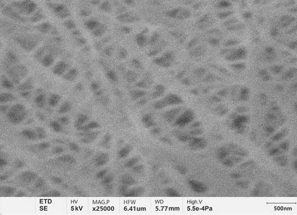 図 a: 従来のタングステン フィラメント SEM で撮影したリチウム電池セプタム。細部がぼやけて不鮮明