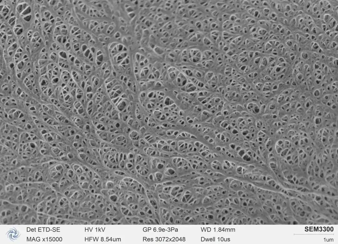 ニュース-CIQTEK新製品発表-sem-図b