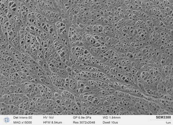 図 b: SEM3300 で撮影されたリチウム電池のダイヤフラム、ダイヤフラムの細孔がはっきりと見え、穴の鋭いエッジ