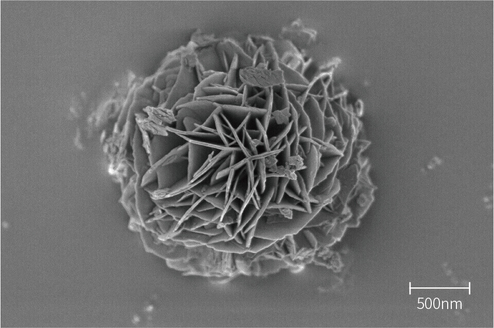 SEM 分析画像 - Nanoflower
