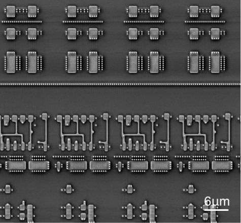 sem image analysis IC Chip (Device Layer)