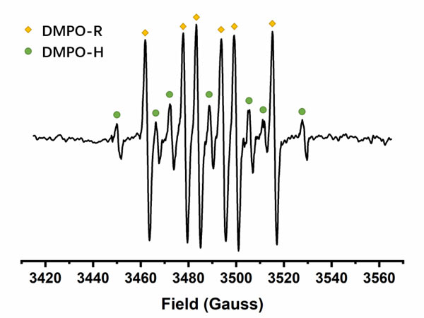 Sample Cells EPR spectra analysis