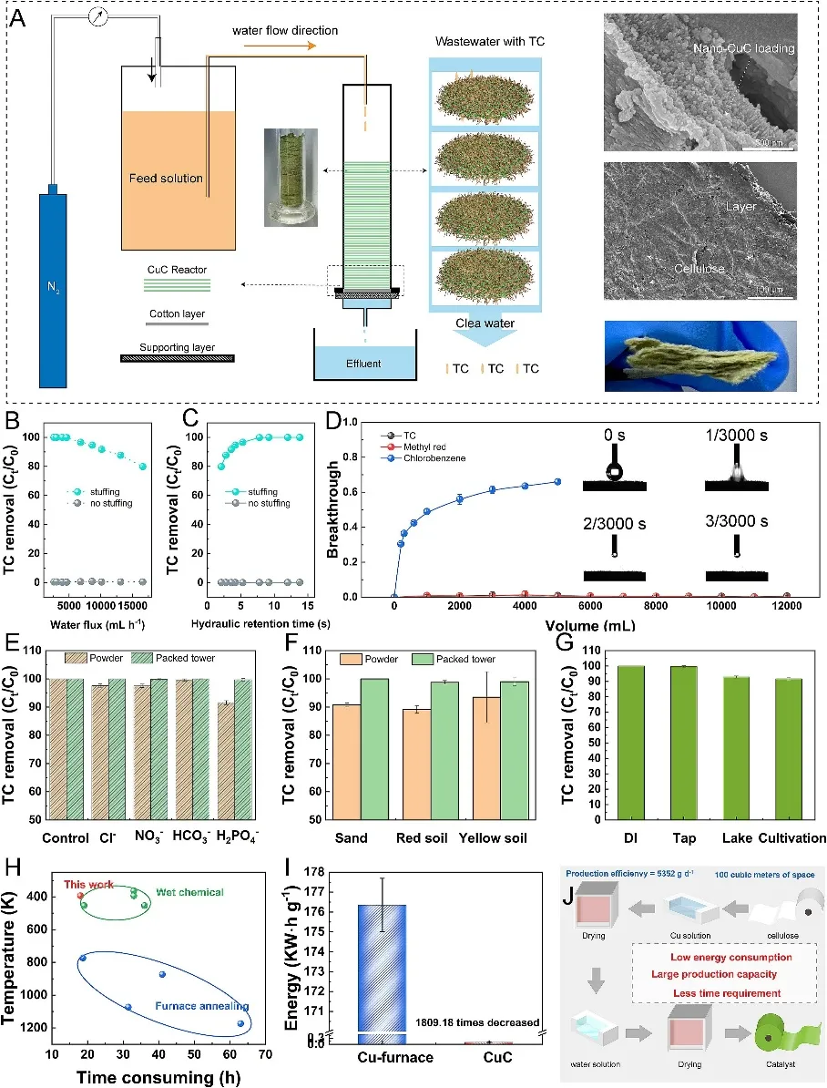 Figure 5. Catalytic Adaptability and Large-Scale Production
