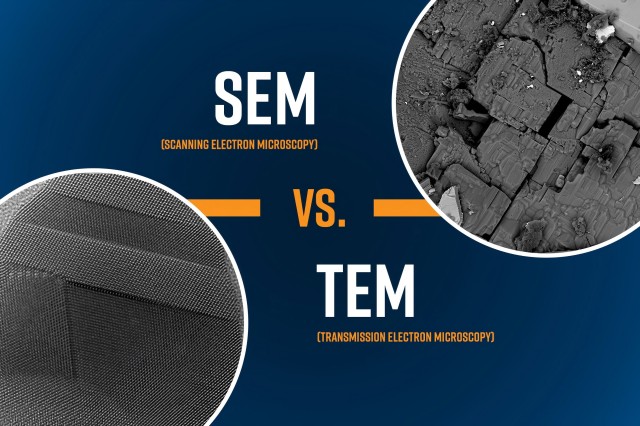 どの顕微鏡があなたに適していますか? TEM または SEM